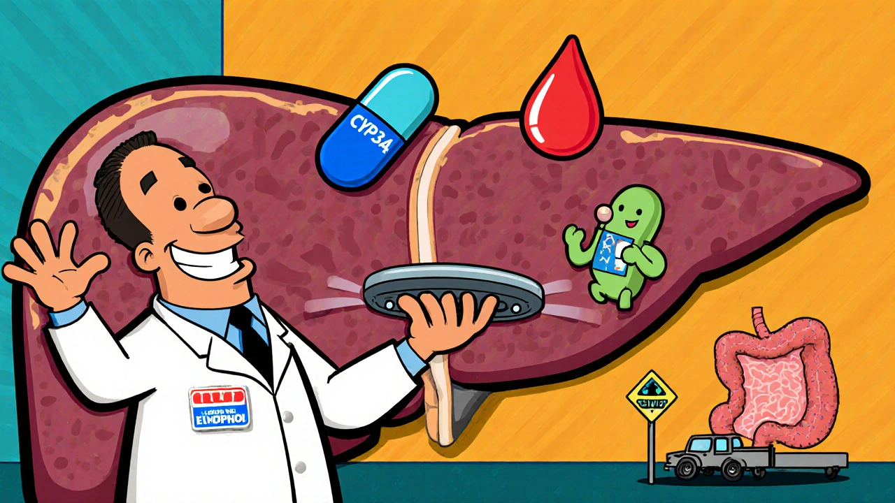 Cartoon liver with enzyme workers juggling a pill and alcohol droplet, showing competition.